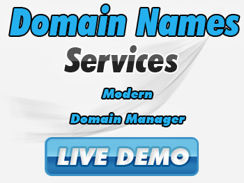Low-cost domain name service providers